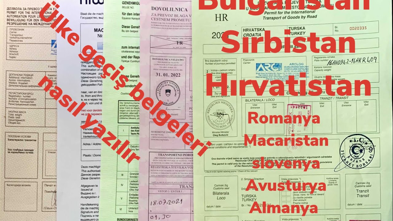 Dozvola (geçiş) belgesi örnekleri 2025